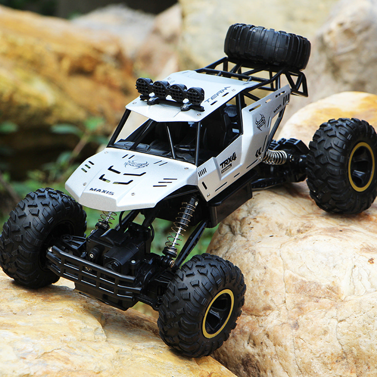 2.4Ghz Remote Control Car High Speed RC Toy
