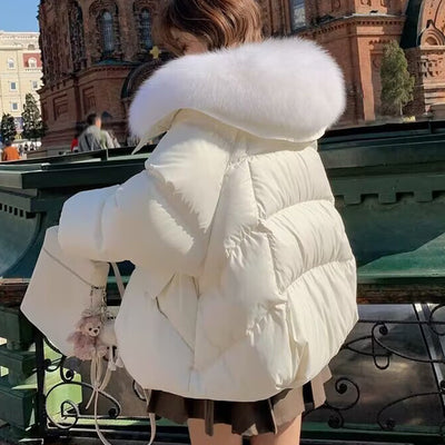 Women’s Winter Short Down Jacket with Fur Collar
